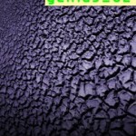 Cinzia di Mauro, Genius_02 - ebook cover-195x300