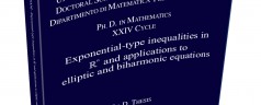 Exponential-type inequalities in  Rn and applications to  elliptic and biharmonic equations, Federica Sani