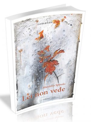 LEI NON VEDE