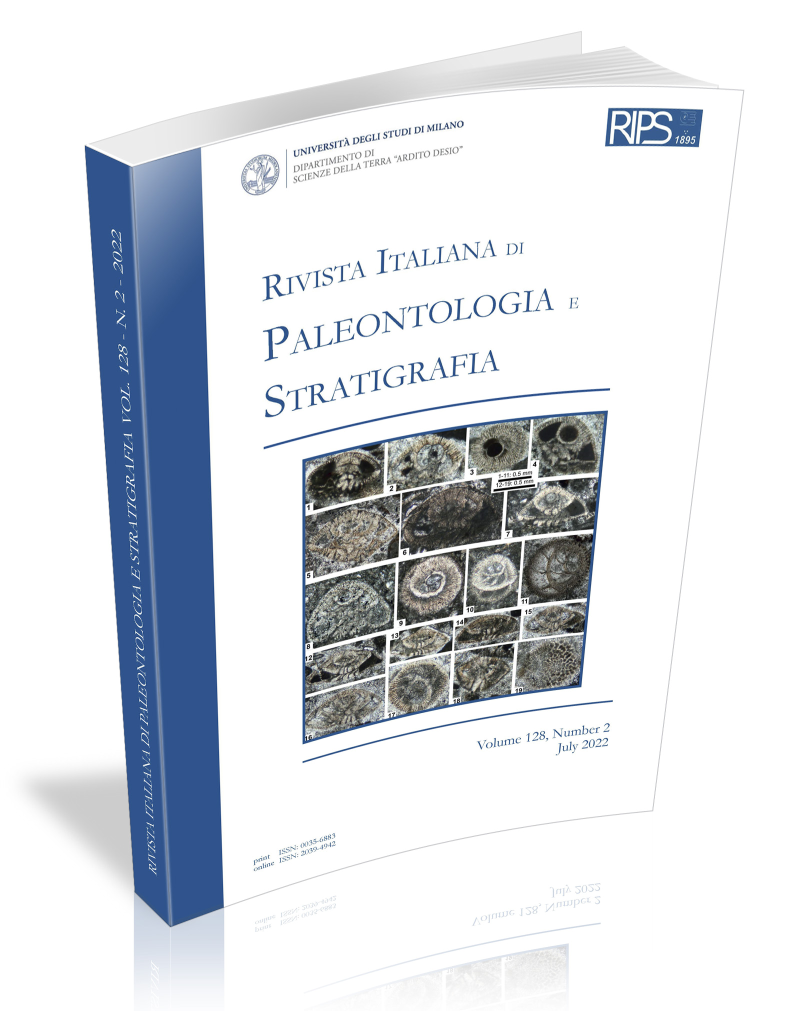 RIPS_2_2022_cover 3D