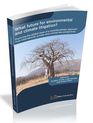 WHAT FUTURE FOR ENVIRONMENTAL AND CLIMATE LITIGATION?