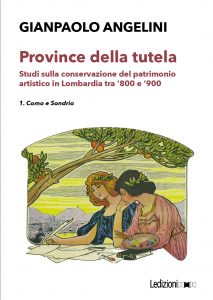 Copertina del libro Province della tutela