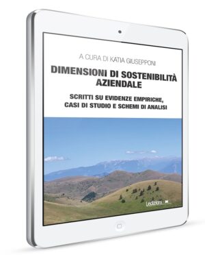 DIMENSIONI DI SOSTENIBILITÀ AZIENDALE