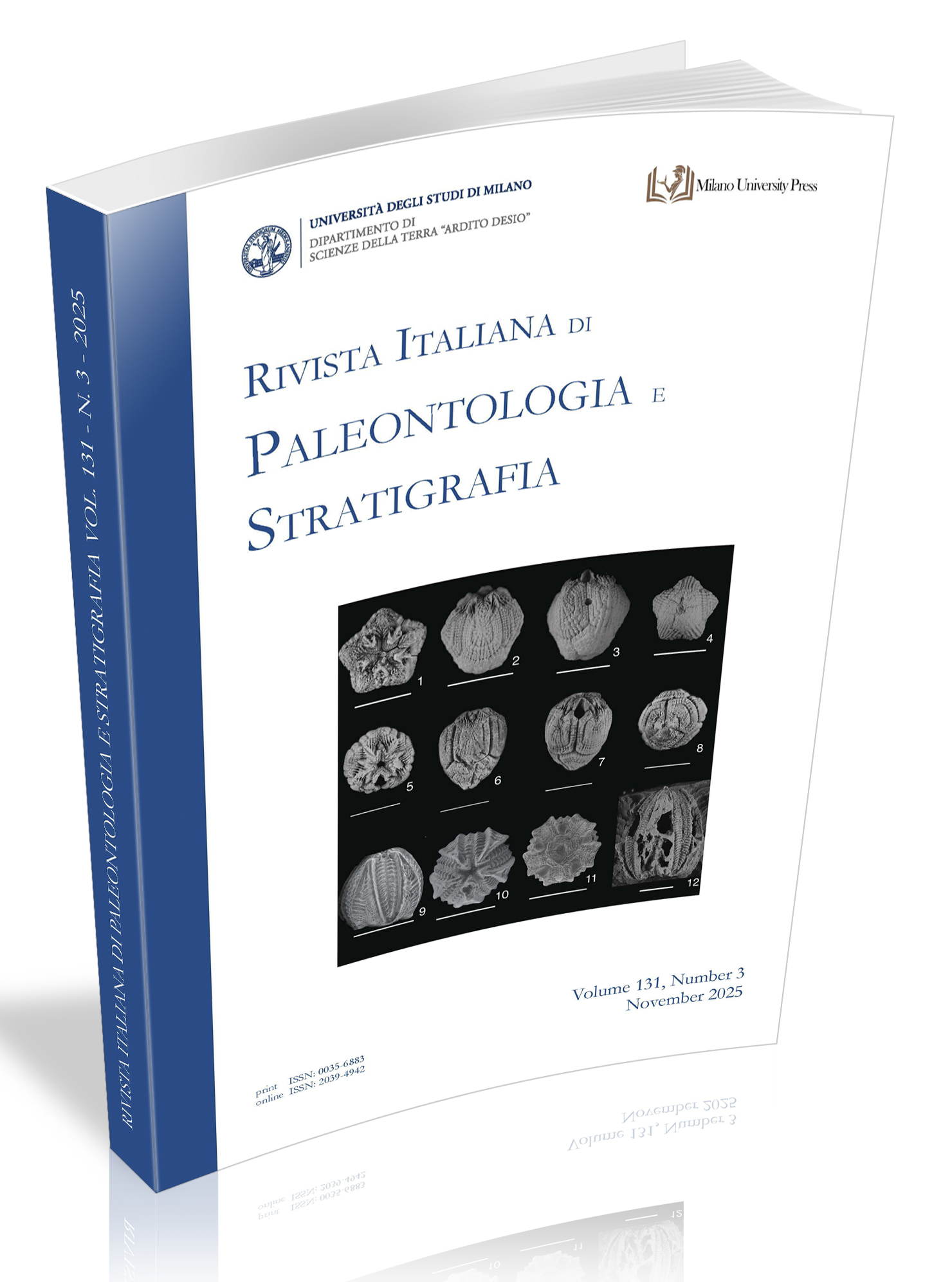 Cover esterna RiPS 3-2025 3D
