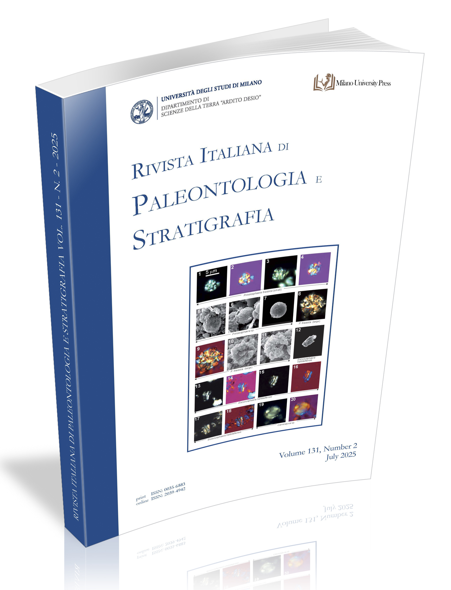 cover esterna stampa 3D